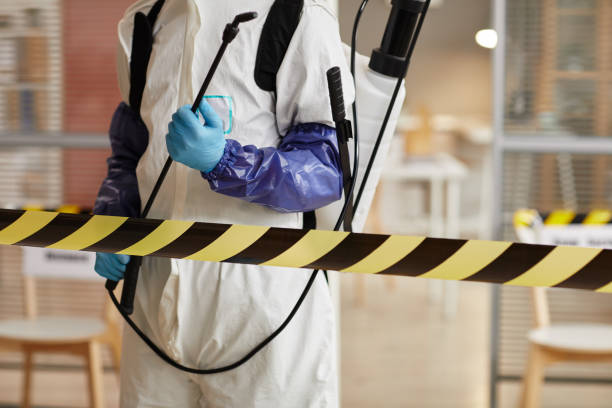 Professional Sewage Cleanup technician working in Howard, WI